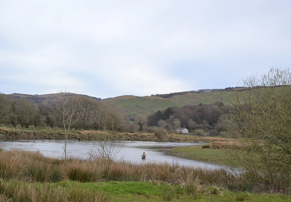 Dyfi-Rivers-Trust-image-48a
